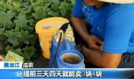 快穿嘎嘎吃瓜免费阅读,嘎嘎吃瓜，免费阅读之旅